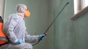 Best Emergency Mold Remediation  in Bakersfield, CA