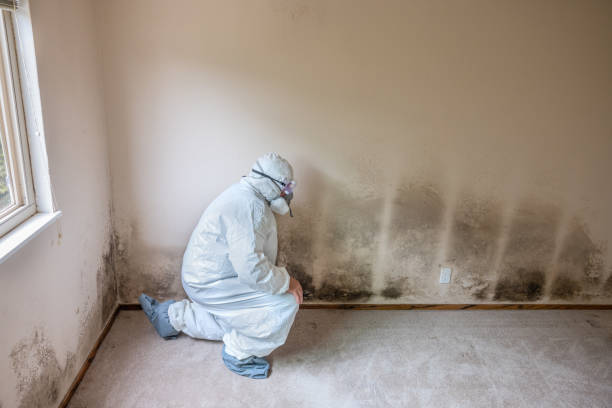 Best Air Quality Testing for Mold Spores  in Bakersfield, CA